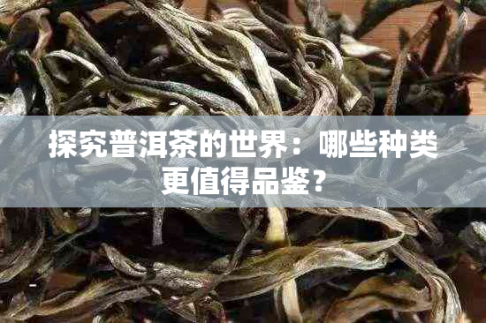 探究普洱茶的世界：哪些种类更值得品鉴？