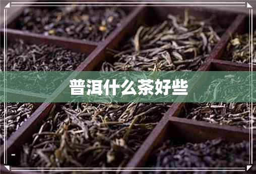 普洱什么茶好些