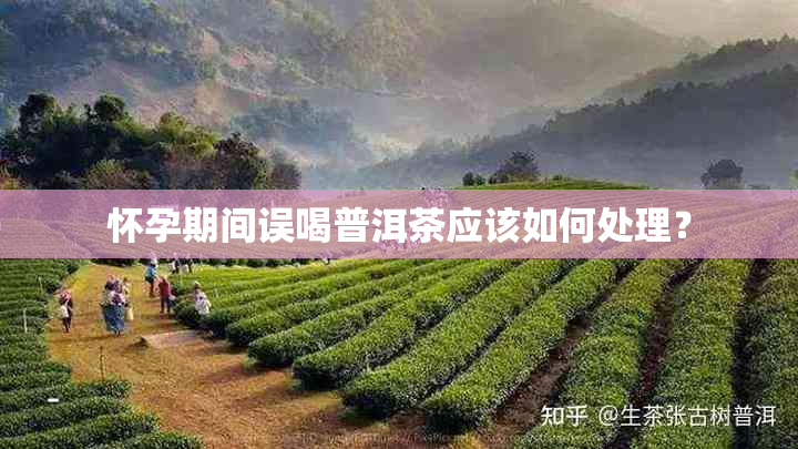 怀孕期间误喝普洱茶应该如何处理？