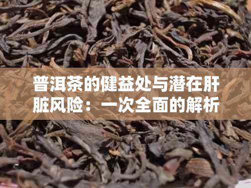 普洱茶的健益处与潜在肝脏风险：一次全面的解析