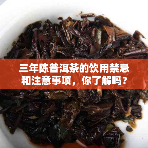 三年陈普洱茶的饮用禁忌和注意事项，你了解吗？