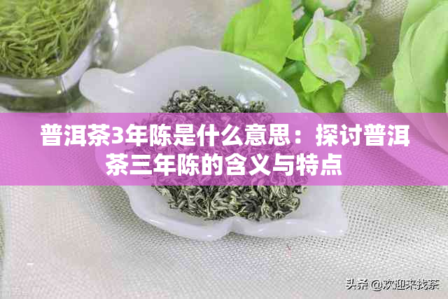 普洱茶3年陈是什么意思：探讨普洱茶三年陈的含义与特点