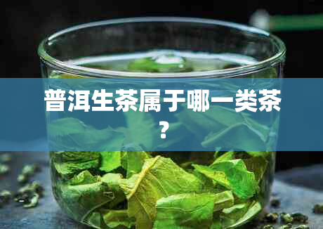 普洱生茶属于哪一类茶？