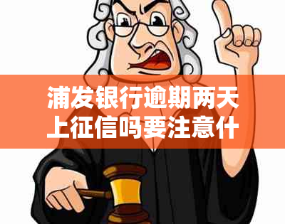 浦发银行逾期两天上吗要注意什么