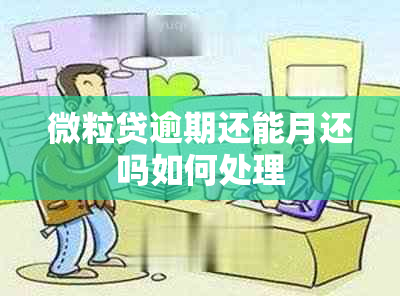 微粒贷逾期还能月还吗如何处理