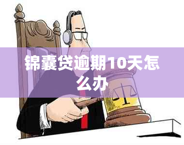 锦囊贷逾期10天怎么办