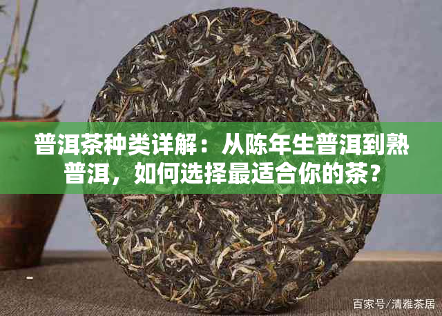 普洱茶种类详解：从陈年生普洱到熟普洱，如何选择最适合你的茶？