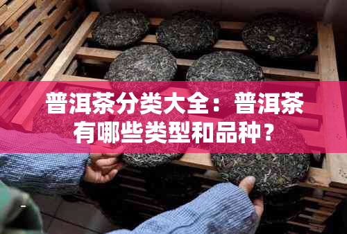 普洱茶分类大全：普洱茶有哪些类型和品种？