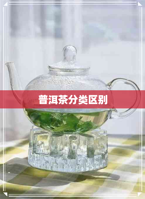 普洱茶分类区别