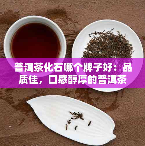 普洱茶化石哪个牌子好：品质佳，口感醇厚的普洱茶推荐。