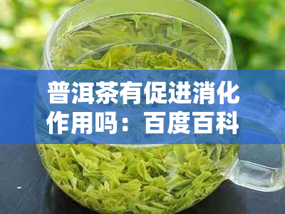 普洱茶有促进消化作用吗：百度百科揭示普洱茶助消化功效