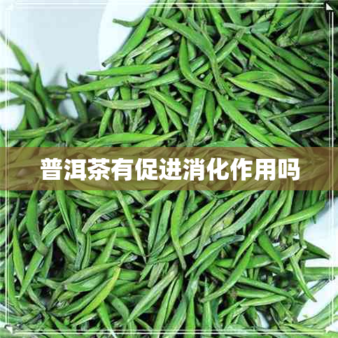 普洱茶有促进消化作用吗