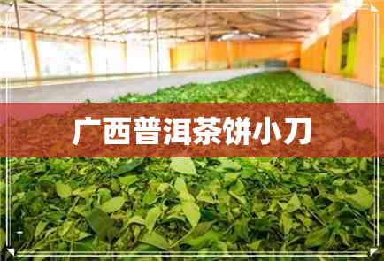 广西普洱茶饼小刀