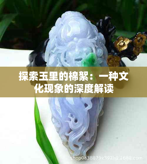 探索玉里的棉絮：一种文化现象的深度解读