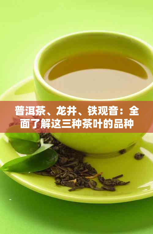 普洱茶、龙井、铁观音：全面了解这三种茶叶的品种特点、泡法及品鉴技巧