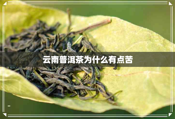 云南普洱茶为什么有点苦