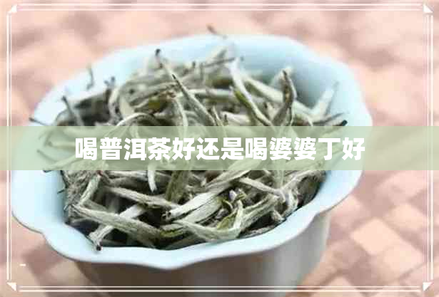 喝普洱茶好还是喝婆婆丁好