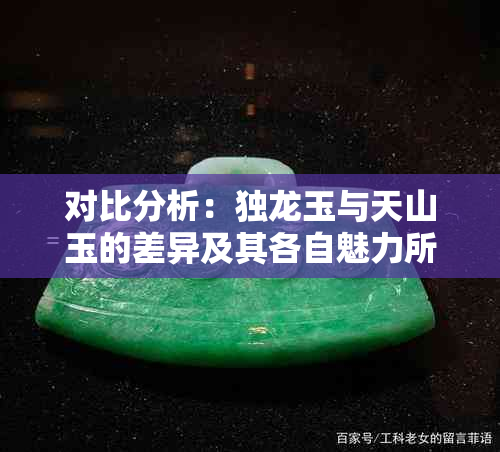 对比分析：独龙玉与天山玉的差异及其各自魅力所在