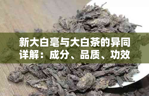 新大白毫与大白茶的异同详解：成分、品质、功效及泡法对比分析