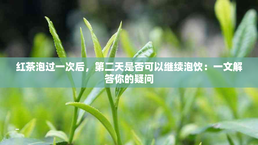 红茶泡过一次后，第二天是否可以继续泡饮：一文解答你的疑问