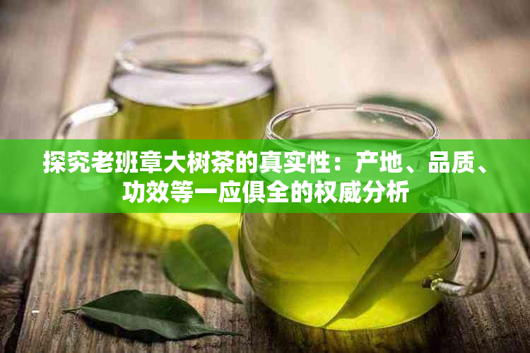 探究老班章大树茶的真实性：产地、品质、功效等一应俱全的权威分析