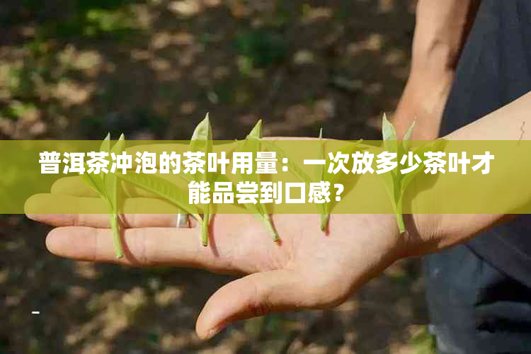 普洱茶冲泡的茶叶用量：一次放多少茶叶才能品尝到口感？