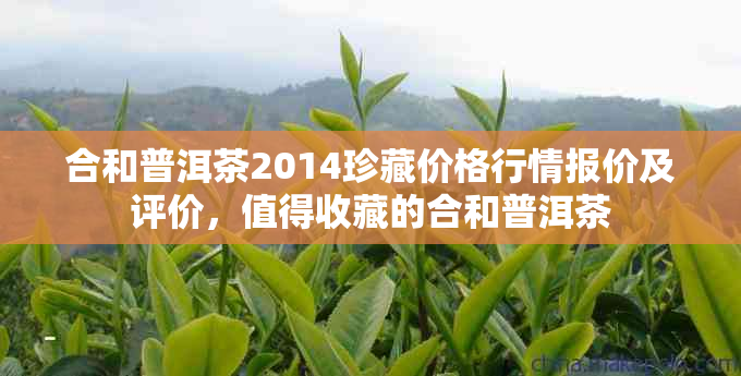 合和普洱茶2014珍藏价格行情报价及评价，值得收藏的合和普洱茶