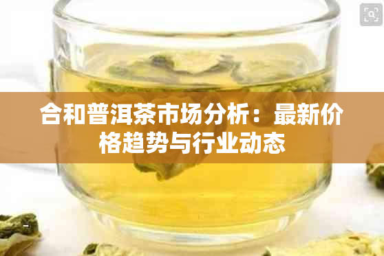 合和普洱茶市场分析：最新价格趋势与行业动态