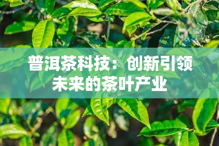 普洱茶科技：创新引领未来的茶叶产业