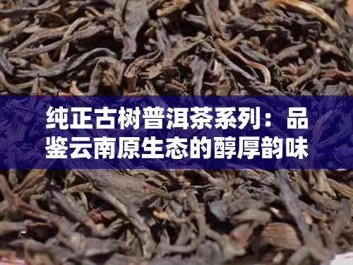 纯正古树普洱茶系列：品鉴云南原生态的醇厚韵味