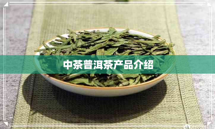 中茶普洱茶产品介绍