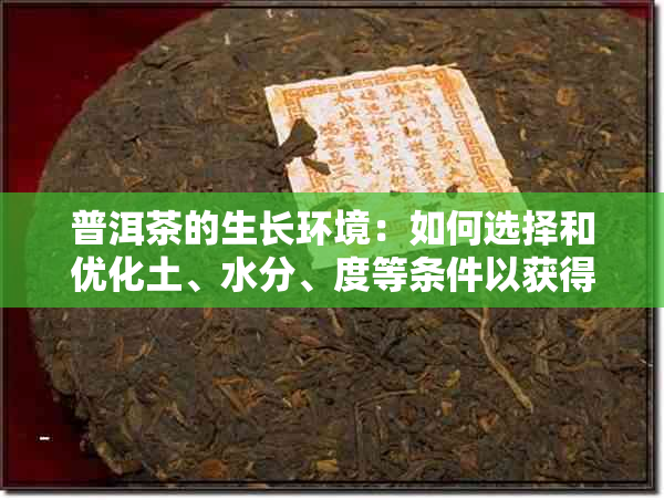 普洱茶的生长环境：如何选择和优化土、水分、度等条件以获得品质？