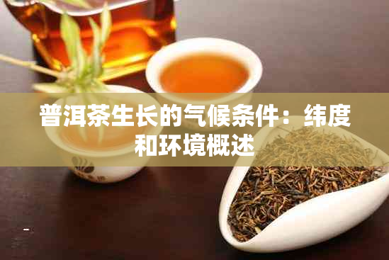 普洱茶生长的气候条件：纬度和环境概述