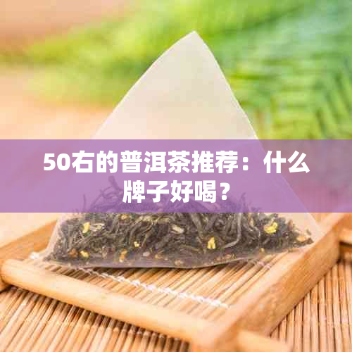 50右的普洱茶推荐：什么牌子好喝？