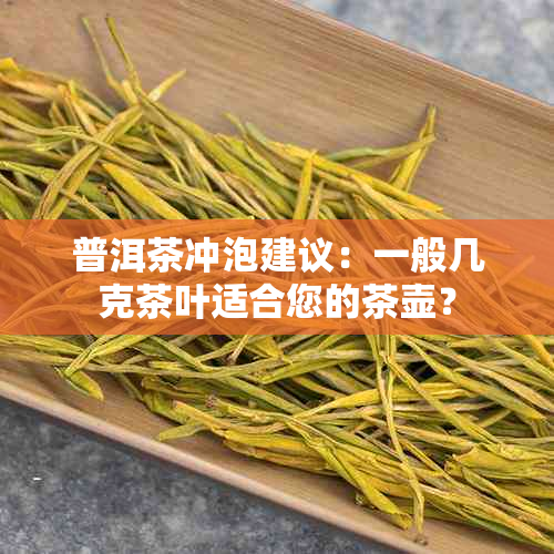 普洱茶冲泡建议：一般几克茶叶适合您的茶壶？