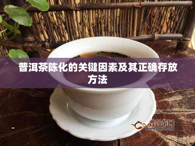 普洱茶陈化的关键因素及其正确存放方法