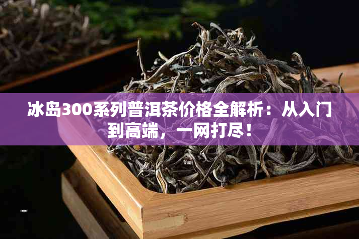 冰岛300系列普洱茶价格全解析：从入门到高端，一网打尽！