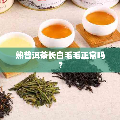 熟普洱茶长白毛毛正常吗？