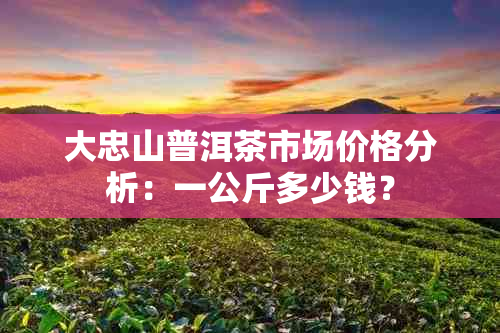 大忠山普洱茶市场价格分析：一公斤多少钱？