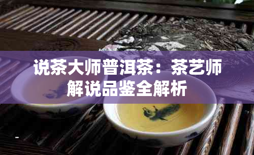 说茶大师普洱茶：茶艺师解说品鉴全解析