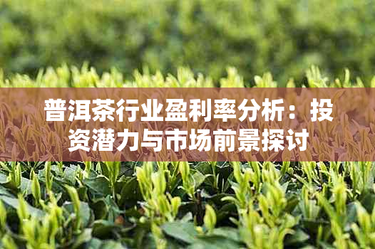 普洱茶行业盈利率分析：投资潜力与市场前景探讨