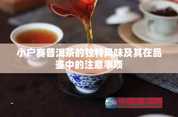 小户赛普洱茶的独特风味及其在品鉴中的注意事项