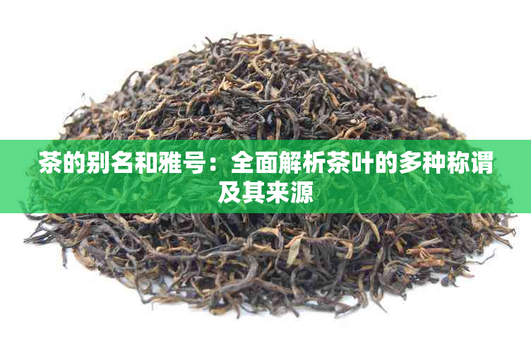 茶的别名和雅号：全面解析茶叶的多种称谓及其来源