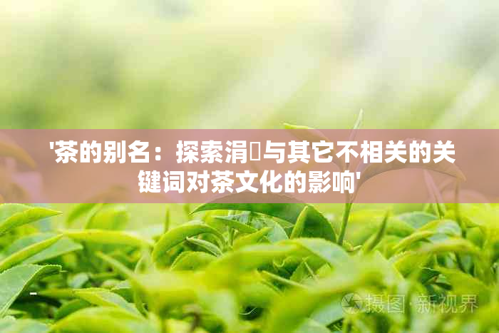  '茶的别名：探索涓嶅与其它不相关的关键词对茶文化的影响'