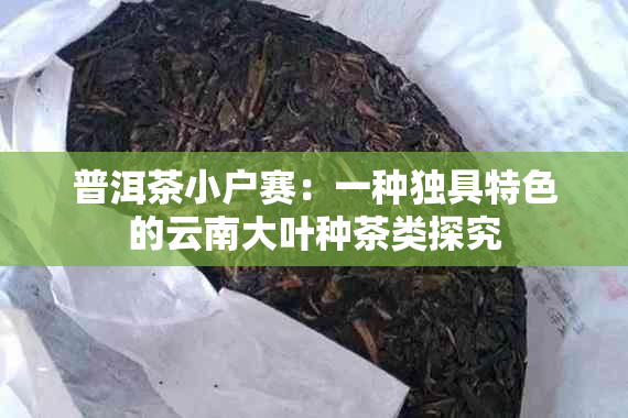 普洱茶小户赛：一种独具特色的云南大叶种茶类探究