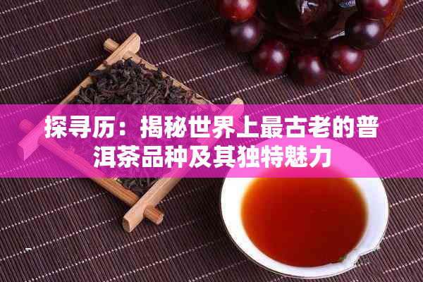 探寻历：揭秘世界上最古老的普洱茶品种及其独特魅力