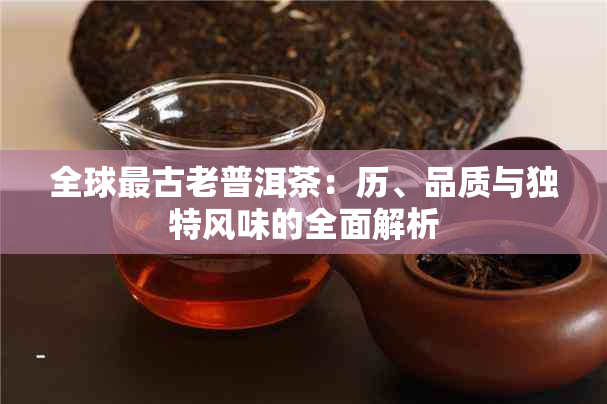 全球最古老普洱茶：历、品质与独特风味的全面解析