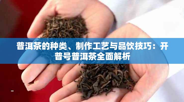 普洱茶的种类、制作工艺与品饮技巧：开普号普洱茶全面解析