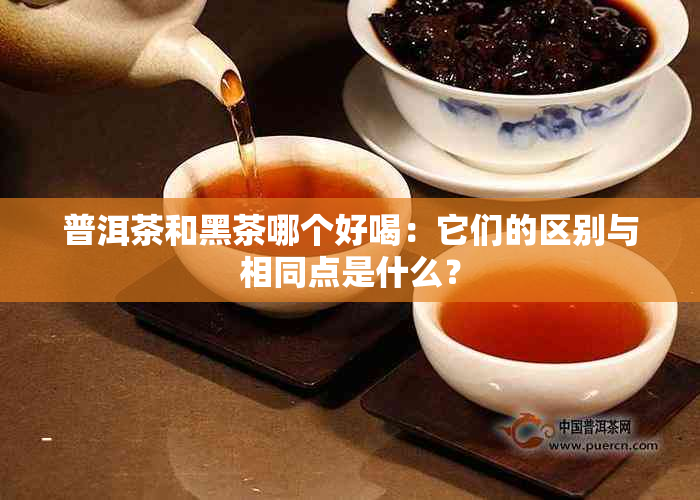 普洱茶和黑茶哪个好喝：它们的区别与相同点是什么？