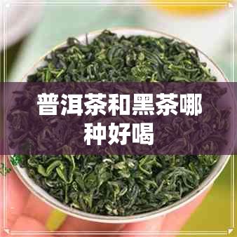 普洱茶和黑茶哪种好喝